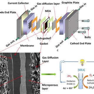 Schematic representation of the PEMFC, (a) an exploded view of a PEMFC ...