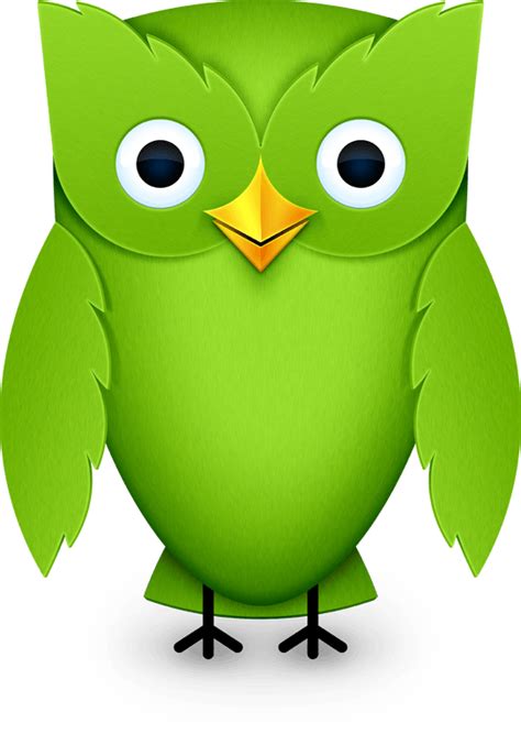 Green Owl Logo - LogoDix