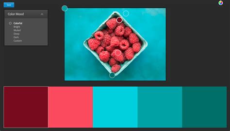 Adobe Color Themes | How To Create & Use Them For Color Grading In ...