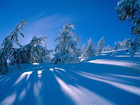 wallpaper: Snow Wallpapers