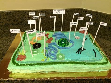 Plant Cell 3d Cake