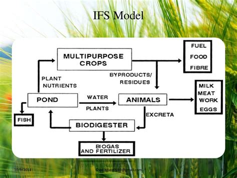 Resulta ng larawan para sa integrated farming system model