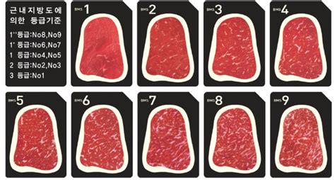 Characteristics and Health Benefit of Highly Marbled Wagyu and Hanwoo ...