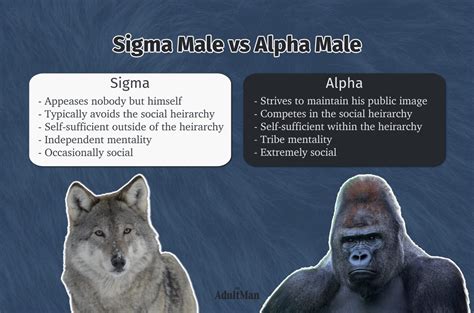 The Sigma Male Explained: Understanding the Lone Wolf