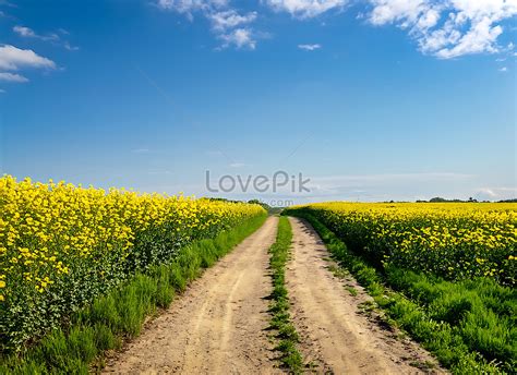 Dirt Background Images, HD Pictures For Free Vectors Download - Lovepik.com