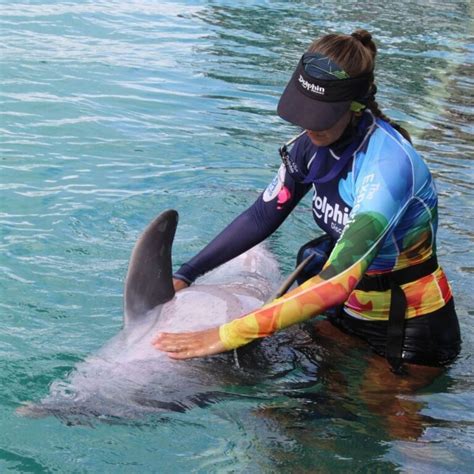 Why should I swim with Dolphins in Cancun? | Dolphin Discovery