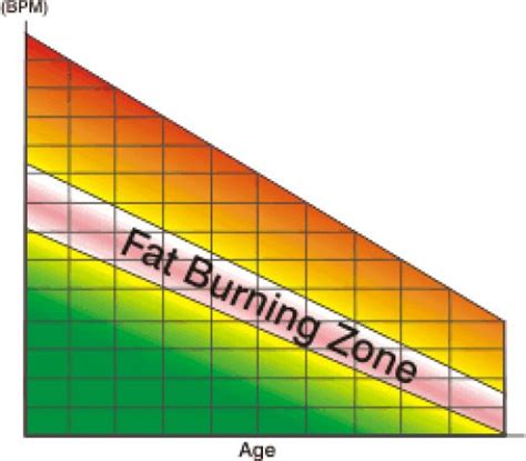 Is the Fat-Burning Zone a Myth?! | Nordictrack Coupons