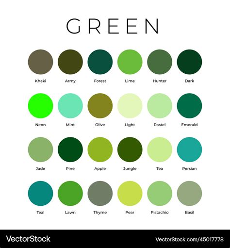 Green color shades swatches palette with names Vector Image