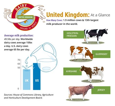 UK dairy farmers face upheaval - Darigold