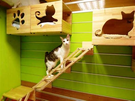 Indoor Cat House Plans in 2020 | Cat houses indoor, Indoor cat, Cat ...