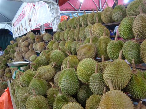 Durian Musang King Raub / Tomsbread - Durian musang king raub include ...