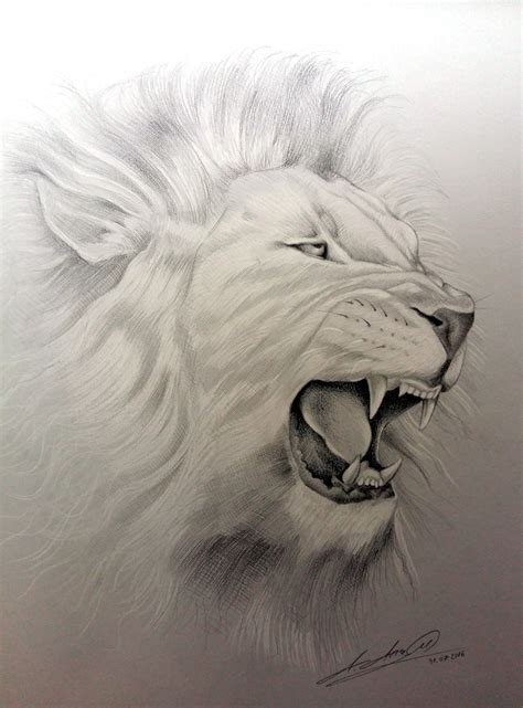 Lion Roar pencil drawing | Fotos de leão, Manga de tatuagem, Pinturas