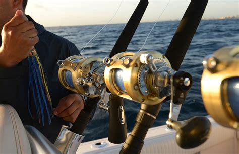 2017 Guide to The Best Saltwater Spinning Reels