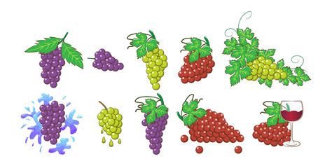 Grapes Vector Art, Icons, and Graphics for Free Download