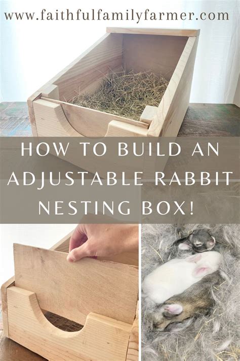 How To Build An Adjustable Rabbit Nesting Box! in 2023 | Rabbit nesting ...