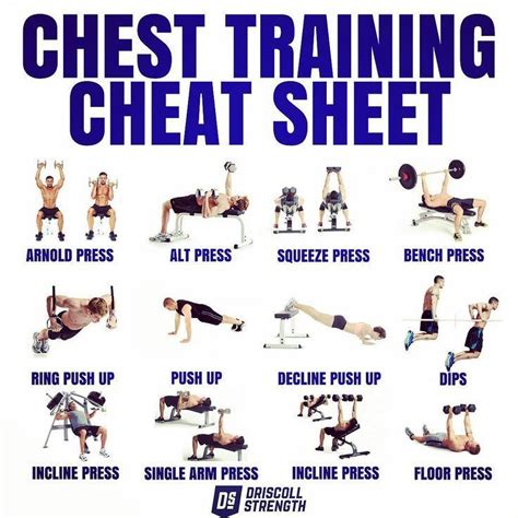 CHEST WORKOUT CHEAT SHEET AND TRAINING PLAN! The collection of the most ...