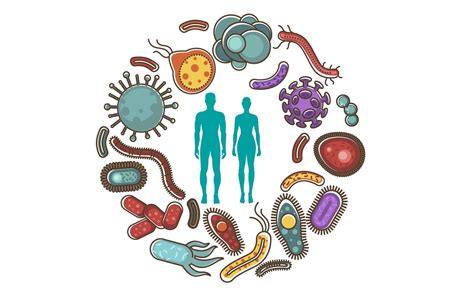 Movement and Our Gut Microbiome… – Strongself