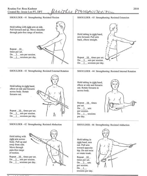 shoulder rehab physical therapy exercises rotator cuff - Google Search ...