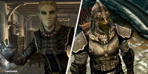 The Best Builds For High Elves In Skyrim