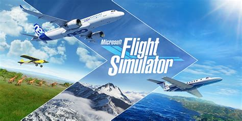 Is Microsoft Flight Simulator Multiplayer? | Game Rant