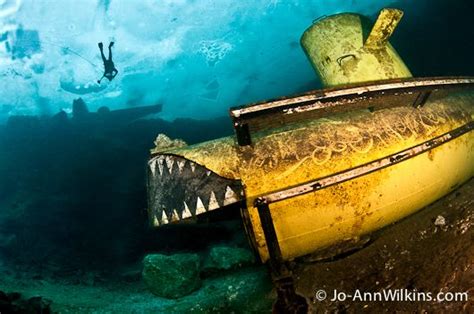 Diving Under the Ice - Underwater Photography Guide