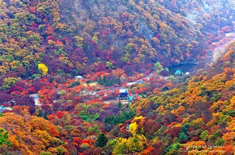 Fall foliage forecast Korea 2019 — 16 best place to see autumn leaves ...