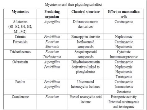 Mycotoxin