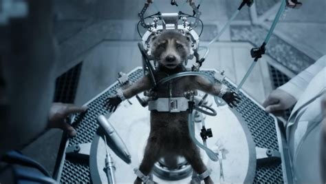 What GUARDIANS OF THE GALAXY VOL. 3 Revealed about Rocket's Backstory ...