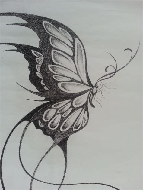 View 27 Cool Butterfly Drawings - shoutpicbox