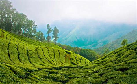 10 Best Places to Visit in Munnar, Kerala | India Tour