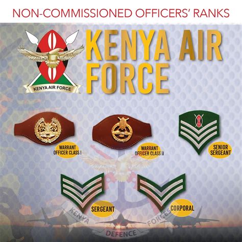 KNOW YOUR MILITARY : NON-COMMISSIONED OFFICERS – Ministry of Defence ...