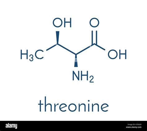 Threonine (l-threonine, Thr, T) amino acid molecule. Skeletal formula ...