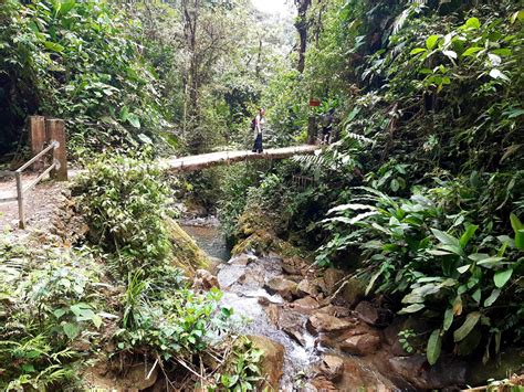 Mindo Cloud Forest Tour Review, Ecuador | Andean Trails