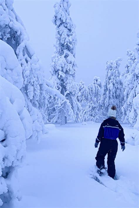 Lapland In Winter: 15 Bucket List Things To Do