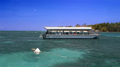 Glass bottom boat tour - Great Barrier Reef | Great Adventures