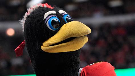 Blackhawks mascot Tommy Hawk fights fan in viral video