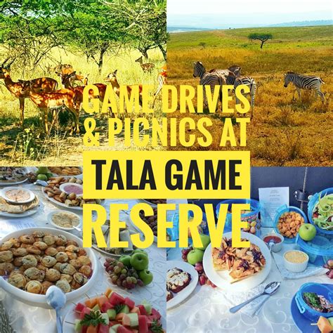 Game Drives and Picnics at Tala Game Reserve | Tala game reserve, Game ...