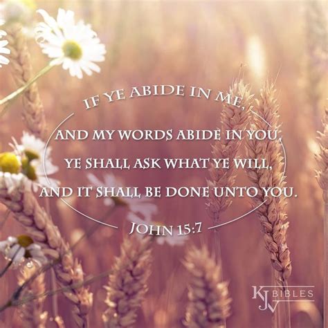 If Ye Abide in Me and My Words Abide in You - John 15:7 KJV | Kjv ...