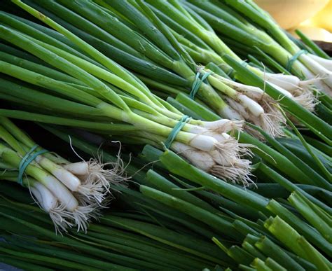 5 Manfaat Sehat dari Daun Bawang, Baik untuk Tubuh!