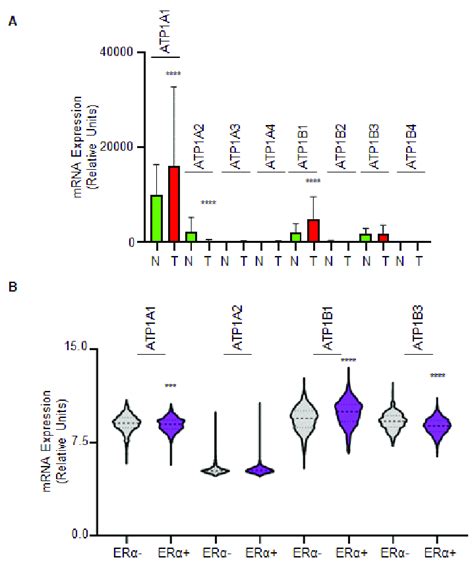 The expression of the Na/K ATPase isoforms in normal and tumor tissue ...