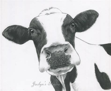 Cow Head Painting at PaintingValley.com | Explore collection of Cow ...