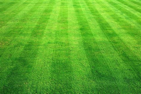 Free photo: Green Grass Lawn - Field, Grass, Green - Free Download - Jooinn