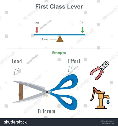 Types Lever Educational Diagram Including First:, 58% OFF