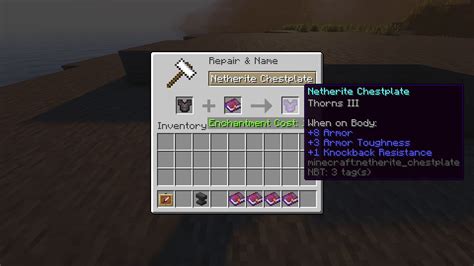 5 best enchantments for chestplate in Minecraft 1.19 update