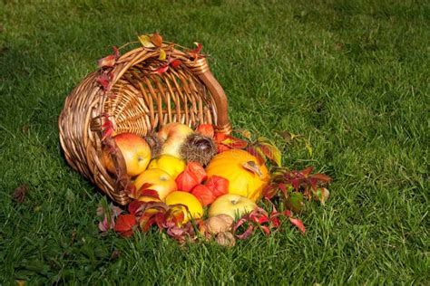 Thanksgiving - Colorful Autumn Basket with Fruits Stock Photo - Image ...