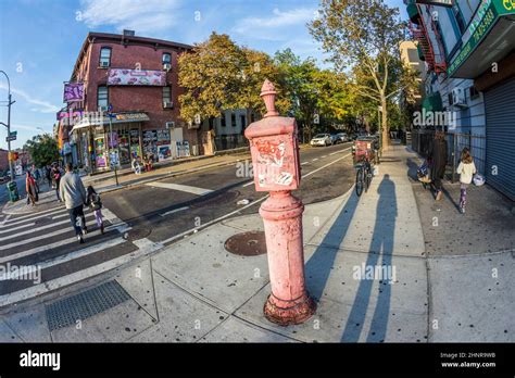 old victorian sos telephone in Brooklyn, New York Stock Photo - Alamy