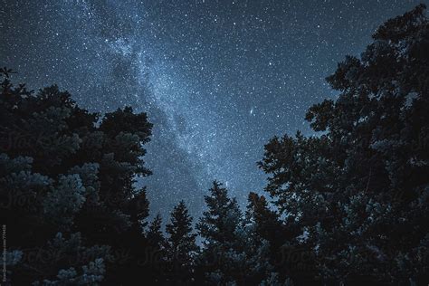 "Dark Cold Forest With Stars Above" by Stocksy Contributor "Evan Dalen ...