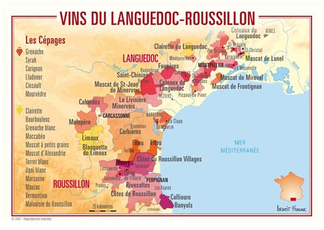 Discover The Languedoc Roussillon Wine Region