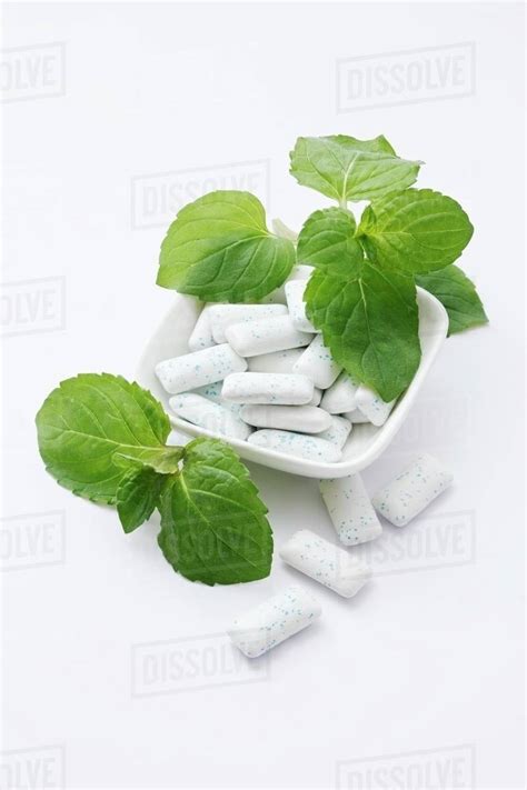 Mini chewing gum and fresh mint - Stock Photo - Dissolve