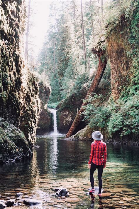 10 Amazing Waterfall Hikes In Oregon | Waterfall hikes, Oregon ...